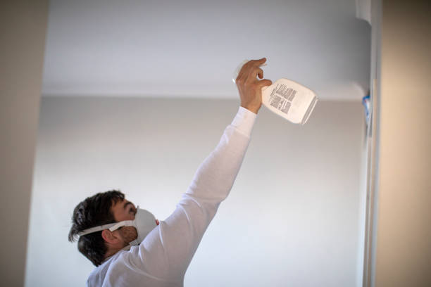 Best Mold Removal Company Near Me  in Greenacres, CA