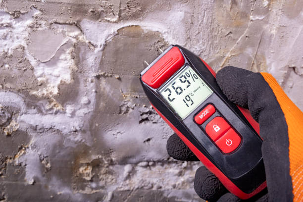 Best Mold Testing  in Greenacres, CA