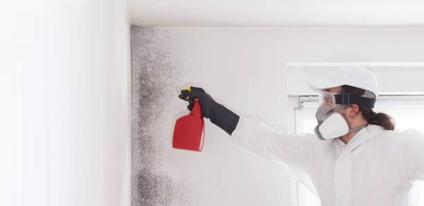 Best Attic Mold Removal  in Greenacres, CA