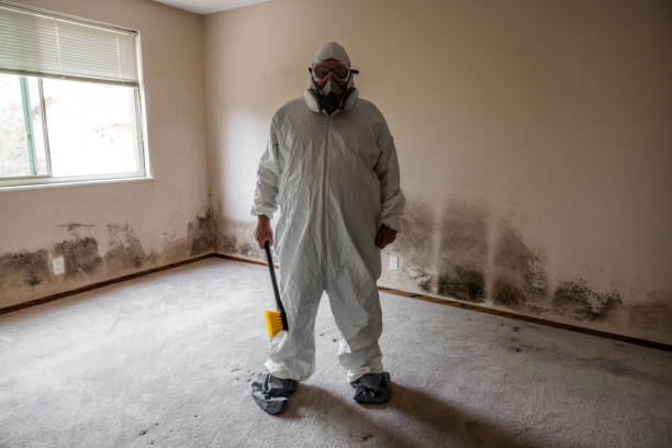Best Commercial Mold Removal  in Greenacres, CA